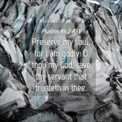 Picture 04 - Psalms 86:2 ASV - Preserve my soul; for I am godly: O thou my God, - Bible Verse Picture