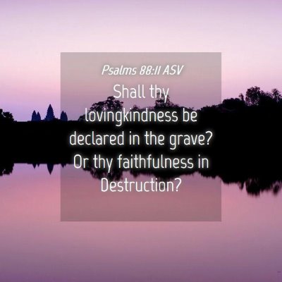 Picture 04 - Psalms 88:11 ASV - Shall thy lovingkindness be declared in the - Bible Verse Picture