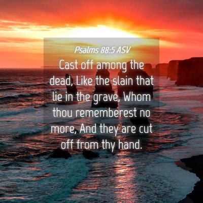 Picture 04 - Psalms 88:5 ASV - Cast off among the dead, Like the slain that lie - Bible Verse Picture