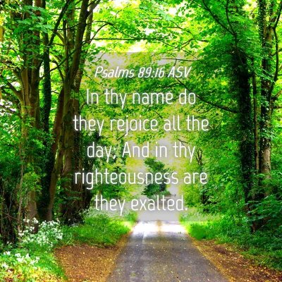 Picture 04 - Psalms 89:16 ASV - In thy name do they rejoice all the day; And in - Bible Verse Picture