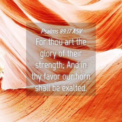 Picture 04 - Psalms 89:17 ASV - For thou art the glory of their strength; And in - Bible Verse Picture