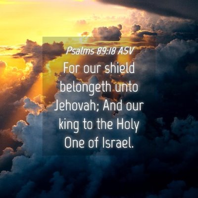 Picture 04 - Psalms 89:18 ASV - For our shield belongeth unto Jehovah; And our - Bible Verse Picture