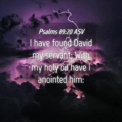 Picture 04 - Psalms 89:20 ASV - I have found David my servant; With my holy oil - Bible Verse Picture