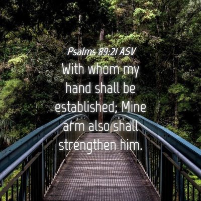 Picture 04 - Psalms 89:21 ASV - With whom my hand shall be established; Mine arm - Bible Verse Picture