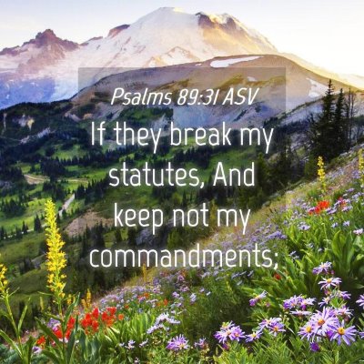 Picture 04 - Psalms 89:31 ASV - If they break my statutes, And keep not my - Bible Verse Picture