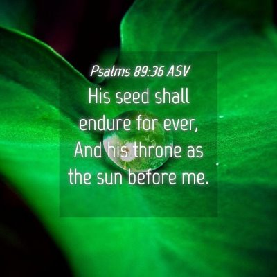 Picture 04 - Psalms 89:36 ASV - His seed shall endure for ever, And his throne as - Bible Verse Picture