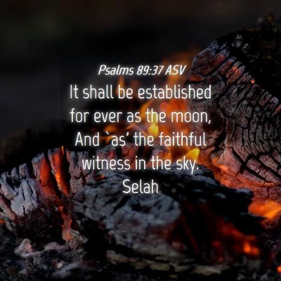 Picture 04 - Psalms 89:37 ASV - It shall be established for ever as the moon, And - Bible Verse Picture