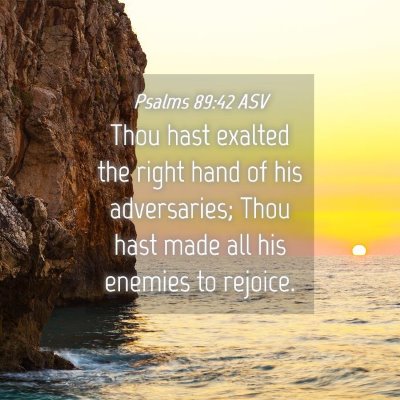 Picture 04 - Psalms 89:42 ASV - Thou hast exalted the right hand of his - Bible Verse Picture