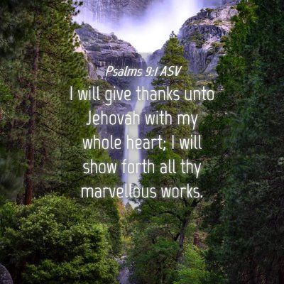 Picture 04 - Psalms 9:1 ASV - I will give thanks unto Jehovah with my whole - Bible Verse Picture