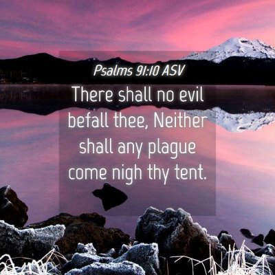 Picture 04 - Psalms 91:10 ASV - There shall no evil befall thee, Neither shall - Bible Verse Picture