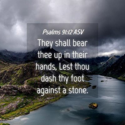 Picture 04 - Psalms 91:12 ASV - They shall bear thee up in their hands, Lest thou - Bible Verse Picture