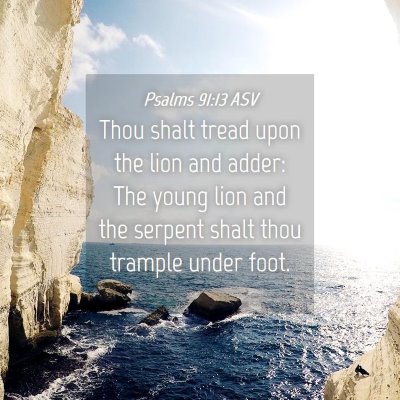 Picture 04 - Psalms 91:13 ASV - Thou shalt tread upon the lion and adder: The - Bible Verse Picture