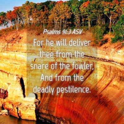 Picture 04 - Psalms 91:3 ASV - For he will deliver thee from the snare of the - Bible Verse Picture
