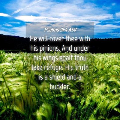 Picture 04 - Psalms 91:4 ASV - He will cover thee with his pinions, And under - Bible Verse Picture