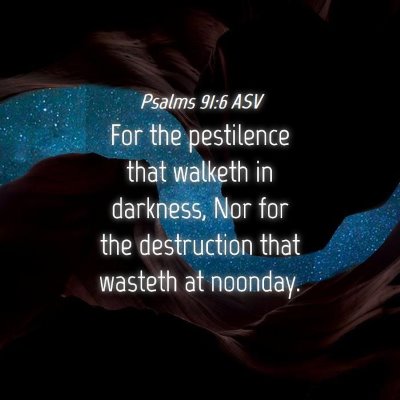 Picture 04 - Psalms 91:6 ASV - For the pestilence that walketh in darkness, Nor - Bible Verse Picture