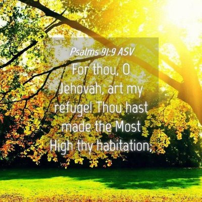 Picture 04 - Psalms 91:9 ASV - For thou, O Jehovah, art my refuge! Thou hast - Bible Verse Picture