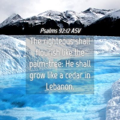 Picture 04 - Psalms 92:12 ASV - The righteous shall flourish like the palm-tree: - Bible Verse Picture