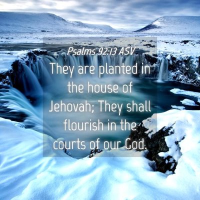Picture 04 - Psalms 92:13 ASV - They are planted in the house of Jehovah; They - Bible Verse Picture