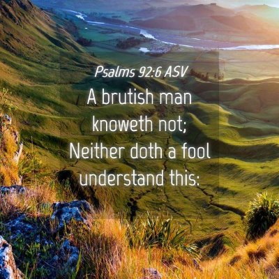 Picture 04 - Psalms 92:6 ASV - A brutish man knoweth not; Neither doth a fool - Bible Verse Picture