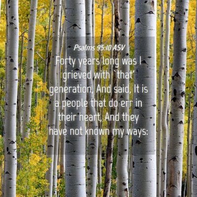 Picture 04 - Psalms 95:10 ASV - Forty years long was I grieved with `that' - Bible Verse Picture