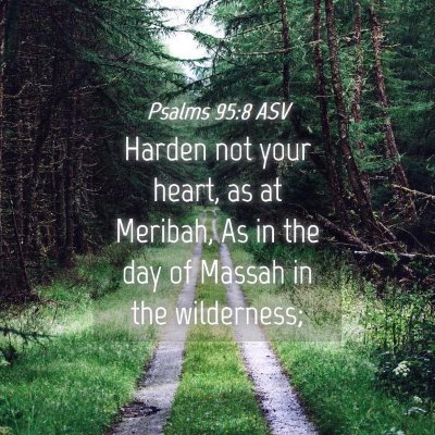 Picture 04 - Psalms 95:8 ASV - Harden not your heart, as at Meribah, As in the - Bible Verse Picture