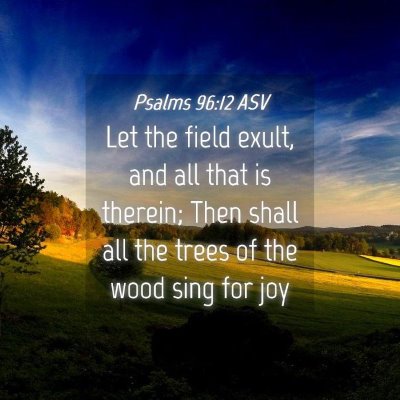 Picture 04 - Psalms 96:12 ASV - Let the field exult, and all that is therein; - Bible Verse Picture