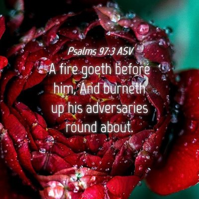 Picture 04 - Psalms 97:3 ASV - A fire goeth before him, And burneth up his - Bible Verse Picture