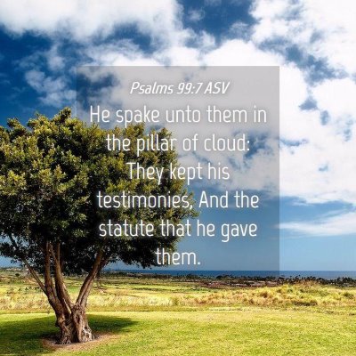 Picture 04 - Psalms 99:7 ASV - He spake unto them in the pillar of cloud: They - Bible Verse Picture