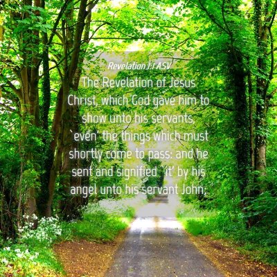 Picture 04 - Revelation 1:1 ASV - The Revelation of Jesus Christ, which God gave - Bible Verse Picture