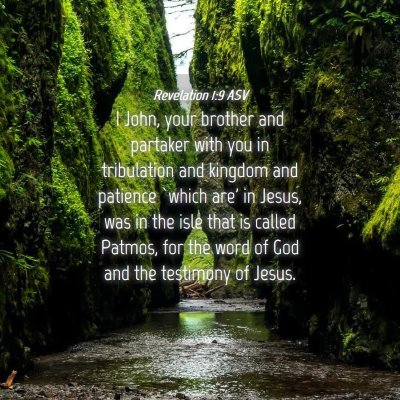 Picture 04 - Revelation 1:9 ASV - I John, your brother and partaker with you in - Bible Verse Picture