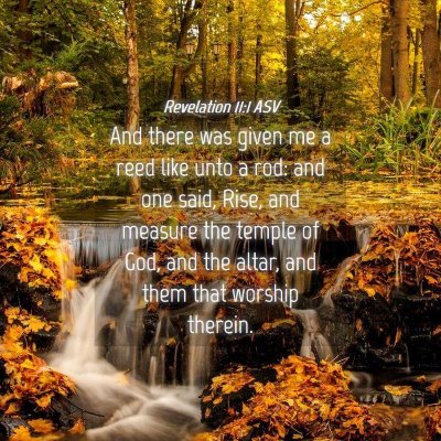 Picture 04 - Revelation 11:1 ASV - And there was given me a reed like unto a rod: - Bible Verse Picture