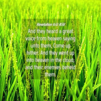 Picture 04 - Revelation 11:12 ASV - And they heard a great voice from heaven saying - Bible Verse Picture