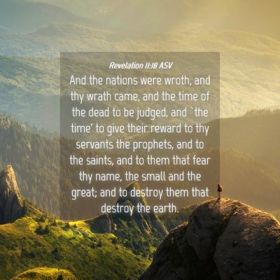Picture 04 - Revelation 11:18 ASV - And the nations were wroth, and thy wrath came, - Bible Verse Picture