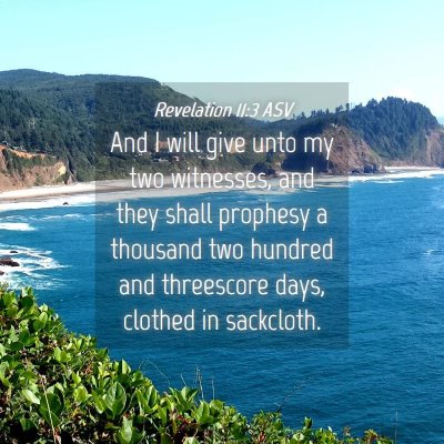 Picture 04 - Revelation 11:3 ASV - And I will give unto my two witnesses, and they - Bible Verse Picture