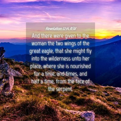 Picture 04 - Revelation 12:14 ASV - And there were given to the woman the two wings - Bible Verse Picture
