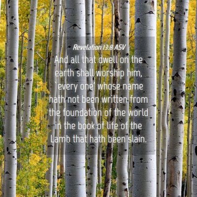 Picture 04 - Revelation 13:8 ASV - And all that dwell on the earth shall worship - Bible Verse Picture