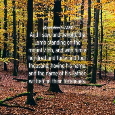 Picture 04 - Revelation 14:1 ASV - And I saw, and behold, the Lamb standing on the - Bible Verse Picture