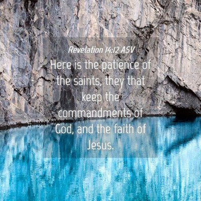 Picture 04 - Revelation 14:12 ASV - Here is the patience of the saints, they that - Bible Verse Picture