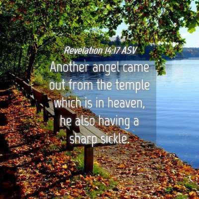 Picture 04 - Revelation 14:17 ASV - Another angel came out from the temple which is - Bible Verse Picture
