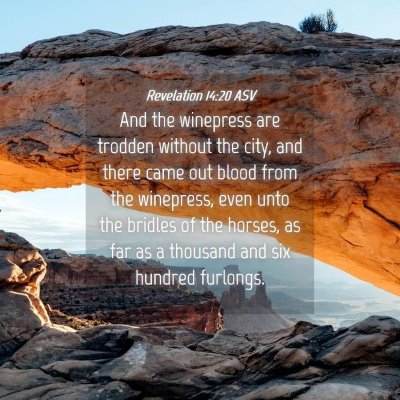 Picture 04 - Revelation 14:20 ASV - And the winepress are trodden without the city, - Bible Verse Picture