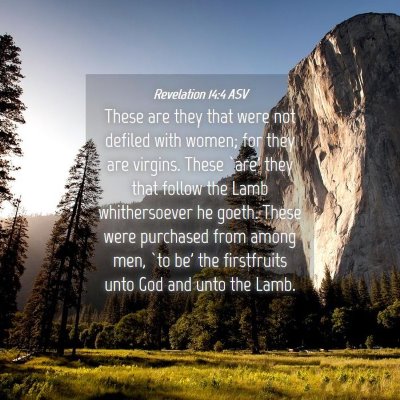 Picture 04 - Revelation 14:4 ASV - These are they that were not defiled with women; - Bible Verse Picture