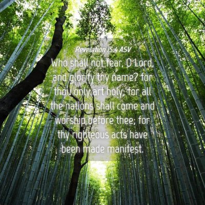 Picture 04 - Revelation 15:4 ASV - Who shall not fear, O Lord, and glorify thy name? - Bible Verse Picture