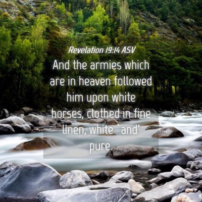 Picture 04 - Revelation 19:14 ASV - And the armies which are in heaven followed him - Bible Verse Picture