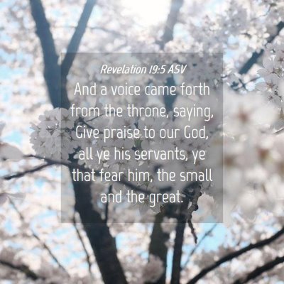Picture 04 - Revelation 19:5 ASV - And a voice came forth from the throne, saying, - Bible Verse Picture