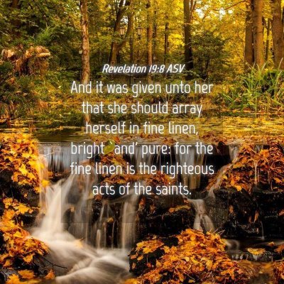 Picture 04 - Revelation 19:8 ASV - And it was given unto her that she should array - Bible Verse Picture