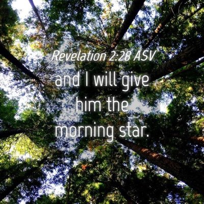 Picture 04 - Revelation 2:28 ASV - and I will give him the morning - Bible Verse Picture