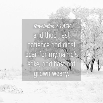 Picture 04 - Revelation 2:3 ASV - and thou hast patience and didst bear for my - Bible Verse Picture