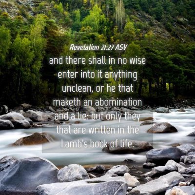 Picture 04 - Revelation 21:27 ASV - and there shall in no wise enter into it anything - Bible Verse Picture