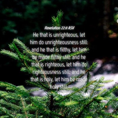 Picture 04 - Revelation 22:11 ASV - He that is unrighteous, let him do - Bible Verse Picture