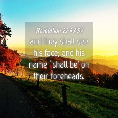 Picture 04 - Revelation 22:4 ASV - and they shall see his face; and his name `shall - Bible Verse Picture